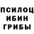 Галлюциногенные грибы Psilocybe ED Nikolaev