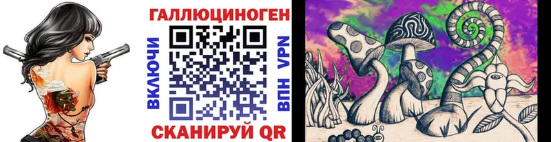 ссылка на мегу ссылки Отрадное Галлюциногенные грибы мицелий